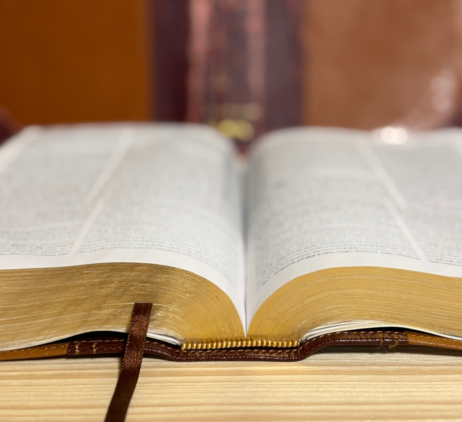 Finished rebound Bible