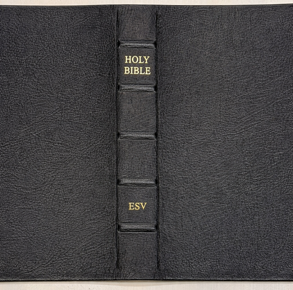 Cover leather example 1